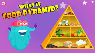 FOOD PYRAMID  How Different Foods Affect Your Body  The Dr Binocs Show  Peekaboo Kidz [upl. by Bornstein]