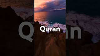 Jannatul Firdaus Surah Yusuf Urdu Translation Ayah3233 islamicvideo shorts shot viral youtube [upl. by Ilyah]