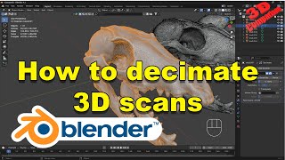 Blender How to Decimate 3D Scans To a Lowered Poly Count [upl. by Atinid]