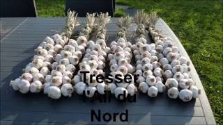 Tresser lail rose Arno sans bâton [upl. by Isbel]