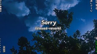 Justin Bieber  Sorry SlowedReverb [upl. by Kenaz]