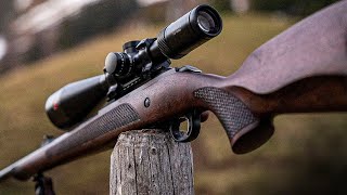 TOP 10 Best 22LR Rifles The Most Accurate 22 Rifles 2023 [upl. by Anyale673]