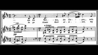 Verchwiegene Liebe Hugo Wolf Accompaniment High Voice D Major [upl. by Anilyx]