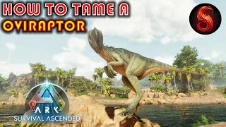 ARK SURVIVAL ASCENDED HOW TO TAME AN OVIRAPTOR [upl. by Haniraz187]