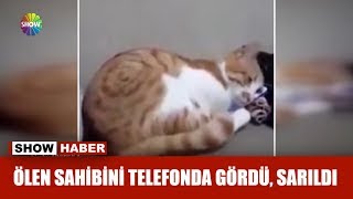 Ölen sahibini telefonda gördü sarıldı [upl. by Ress]