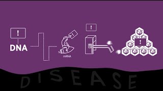 What is RNAi and How Do RNAibased Medicines Work [upl. by Shute]