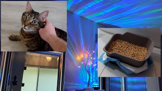 Advanced Cat Litter System with Pine Pellets [upl. by Heck978]