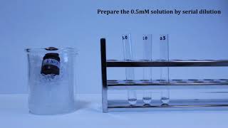 BCH2333 Lab3 Experiment 3 The kinetics of acid phosphatase [upl. by Yelhs326]