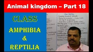 Class Amphibia amp Reptilia  Animal Kingdom  NEET Bio  Part 18 [upl. by Kathrine105]