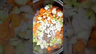 Homemade Beef Bean And Spinach Soup  Made From Scratch  The Southern Mountain Kitchen shorts [upl. by Anecuza]