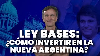 🇦🇷 𝗟𝗘𝗬 𝗕𝗔𝗦𝗘𝗦 🇦🇷  Qué acciones y bonos comprar en la nueva Argentina [upl. by Eriam430]