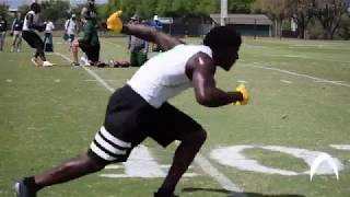 DErnest Johnson USF Pro Day Performance 2018 [upl. by Anaej]