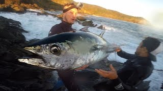 Fishing for Northern Bluefin Tuna [upl. by Notyad]