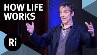 What is life and how does it work  with Philip Ball [upl. by Eleumas]