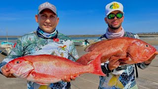 Pesca de PARGOS GRANDES y BAQUETAS en BARCO HUNDIDO [upl. by Llenil]