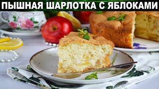 Простая шарлотка с яблоками в духовке пышная 🥧 Как испечь вкусную яблочную шарлотку [upl. by Eisle776]