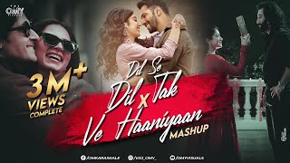 Dil Se Dil Tak X Ve Haaniyaan X Satranga  Omy Visuals  Bollywood Mashup  2024 Love Mashup [upl. by Oram]