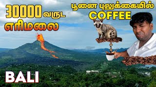 🌋Kintamani Volcano Burning for 30000 yrs in Bali  Cat Poop Coffee  🇮🇩Indonesia Vlog  4 [upl. by Akemaj]