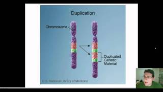 Chromosomal Mutations [upl. by Ellora]