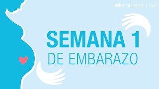 PRIMEROS SINTOMAS de EMBARAZO  PRIMER MES  SEMANAS 15 [upl. by Publius77]