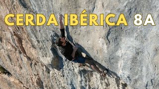 Ascent of Cerda Ibérica  8a [upl. by Yancy]