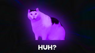 15 Huh Cat Meme Sound Variations in 30 Seconds  Ayieeeks Original [upl. by Newmann972]