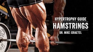 Hypertrophy Guide  Hamstrings  JTSstrengthcom [upl. by Scholz]