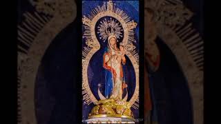 Cantos Ala Purísima Oh Virgen De Concepción [upl. by Don]