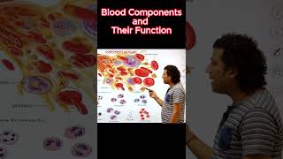 The Secrets of Blood Science Class 9 [upl. by Curkell626]