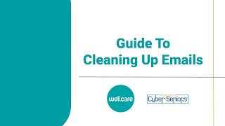 Guide To Cleaning Up Emails [upl. by Ailis]