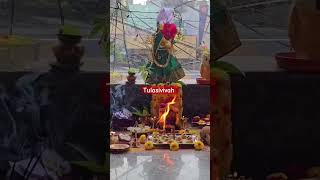 Tulasi vivah pooja 2024ksheerabdidwadasi [upl. by Eustashe553]