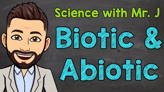 Biotic and Abiotic Factors  Ecosystems [upl. by Wiebmer]