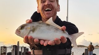 Lancelin Jetty Fishing with Mixed Results  Day Trip from Perth WA [upl. by Eltsyrhc]