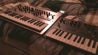 jamuary2019 Day 20  Korg Minilogue and Monologue [upl. by Rustie377]