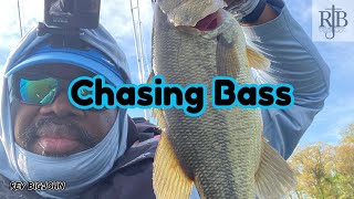 Chasing Bass Ep293 Mattawoman Creek [upl. by Frantz558]