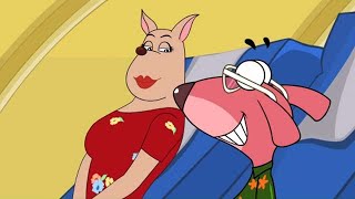 RatATat  Chotoonz Kids Cartoon Videos Lover Don [upl. by Nissa]