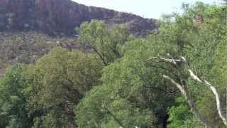 Canoeing on the Ord river in the Kimberley Australia [upl. by Lechner]