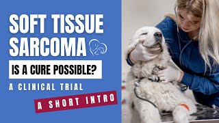 Canine Soft Tissue Sarcoma Trial  A Short Intro [upl. by Barrow660]