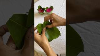 Ecofriendly leaf cups 🍃 jackfruitleafcups ecofriendlycups diy bananaleafcups [upl. by Htevi]