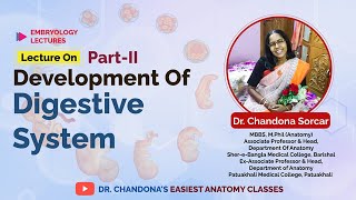 Lecture on development of the digestive system part II [upl. by Ecela]