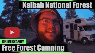 Forest Camping  Kaibab National Forest [upl. by Budge501]