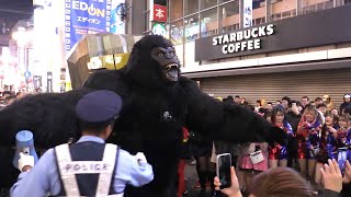 道頓堀ハロウィンに巨大ゴリラ出現 20241031 Osakadotonbori [upl. by Dyan]