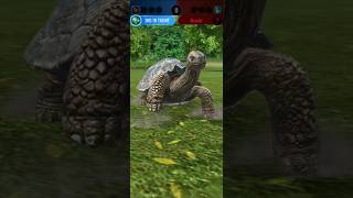 Carbonemys Animation jurassicworldalive gamewallah [upl. by Nairot]