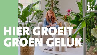 Hier groeit groen geluk  Intratuin [upl. by Nirak]