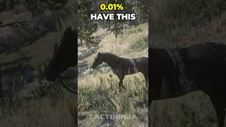 Extremely Rare Hores in Red Dead Redemption 2 rdr2 gaming eastereggs [upl. by Yecniuq201]