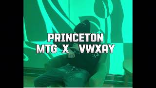 Princeton MTG X VWxay freestyle [upl. by Ettena]