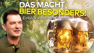 DER SCHLÜSSEL ZUM BESTEN BIER Tausendjährige Tradition Geheimnisse der Hopfenernte  FOOD MAGAZIN [upl. by Nimajaneb]