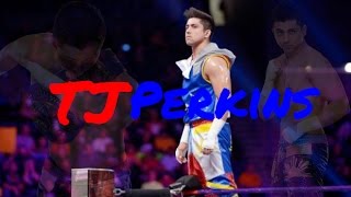 2017 TJ Perkins  AE Arena Effect HD 1080p [upl. by Nidia609]