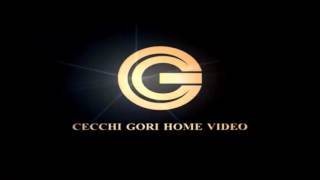 Cecchi Gori Home Video Cecchi Gori Group [upl. by Lalib881]