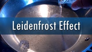 Leidenfrost Effect  Hot pan  Water [upl. by Nahsez]